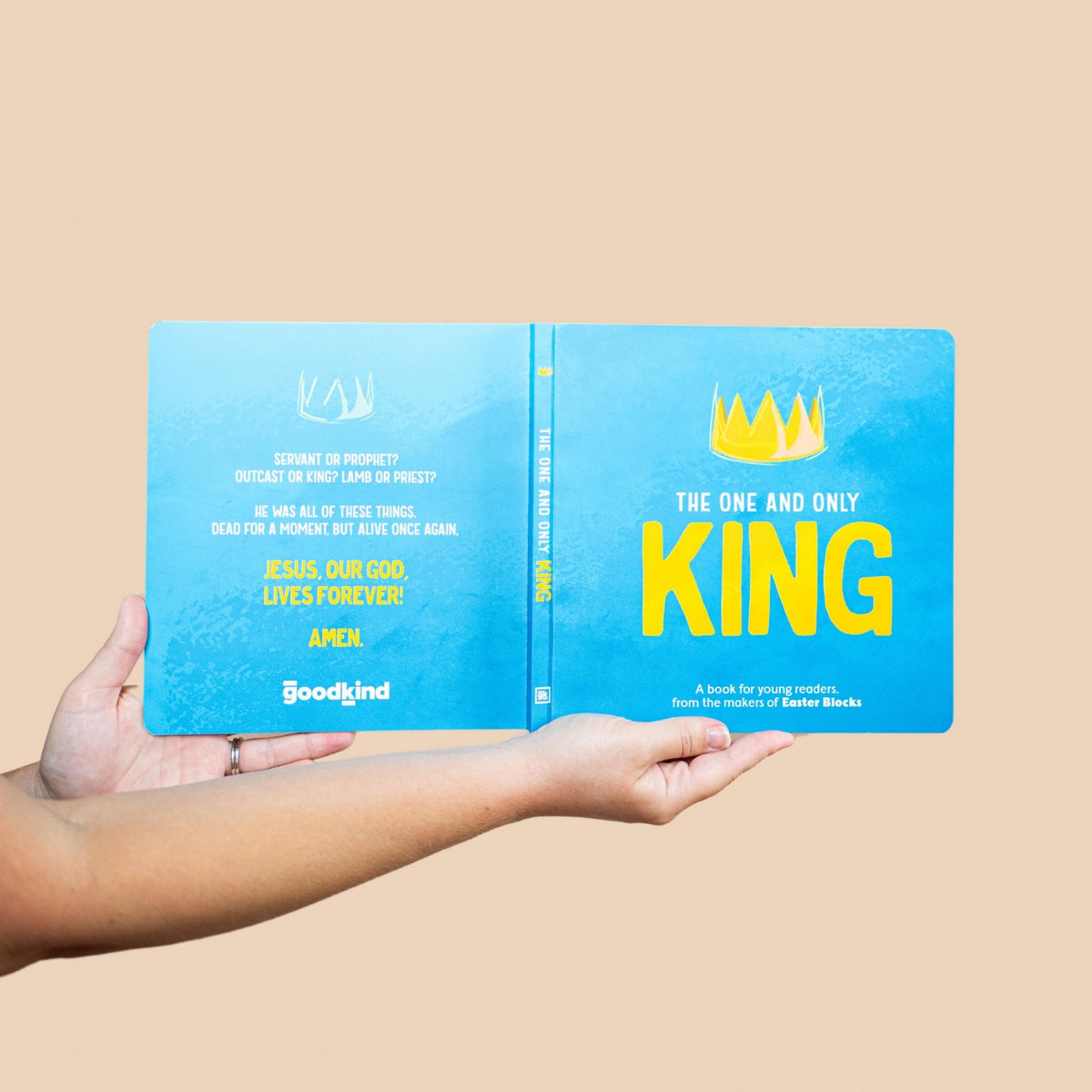 Board Book - The One and Only King